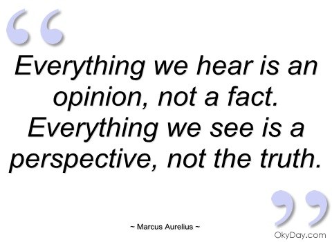 Everything we hear is an opinion, not a fact. Everything  we see is a perspective, not the truth. Marcus  Aurelius