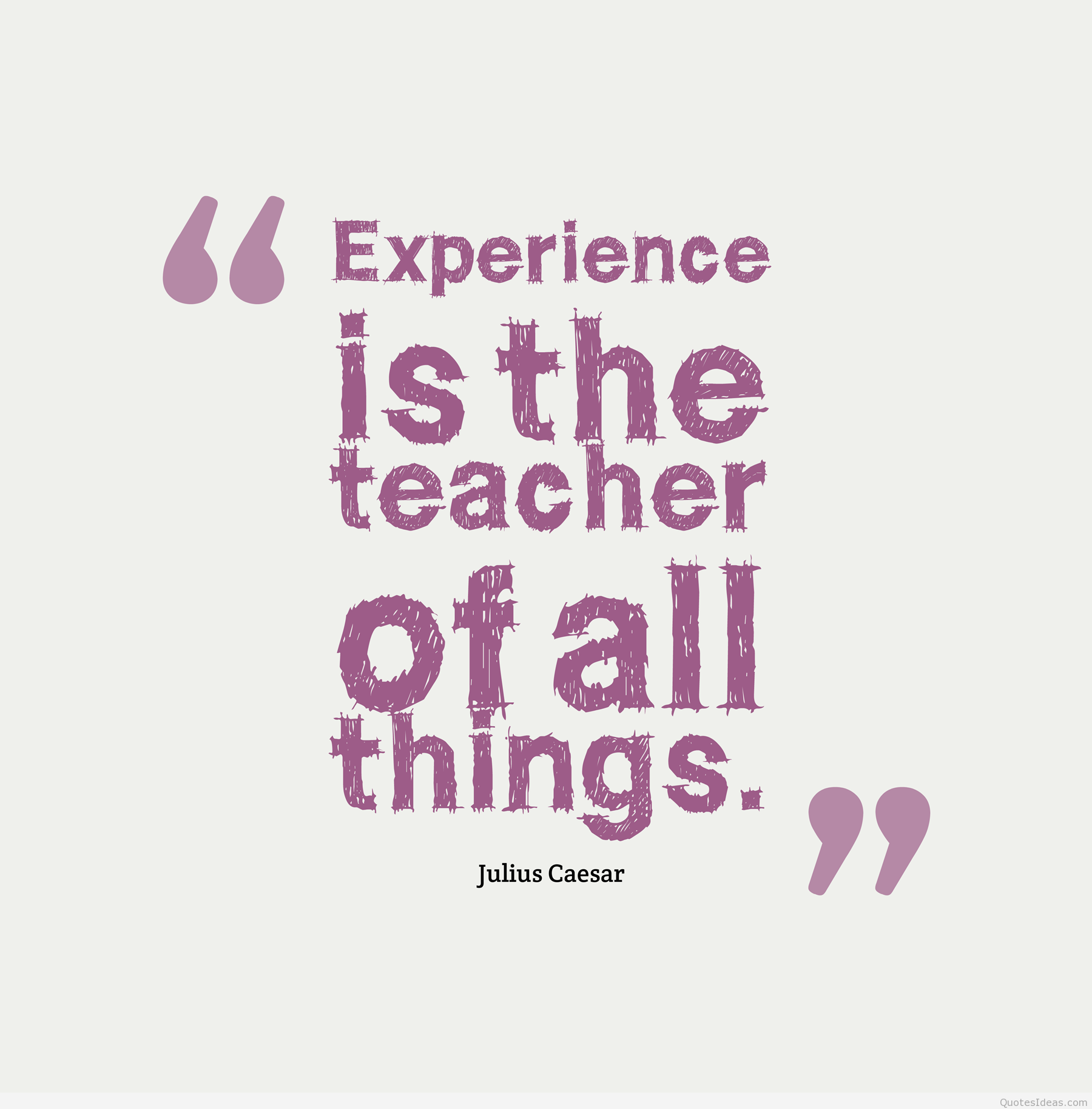 Experience is the teacher of all things. Julius Caesar