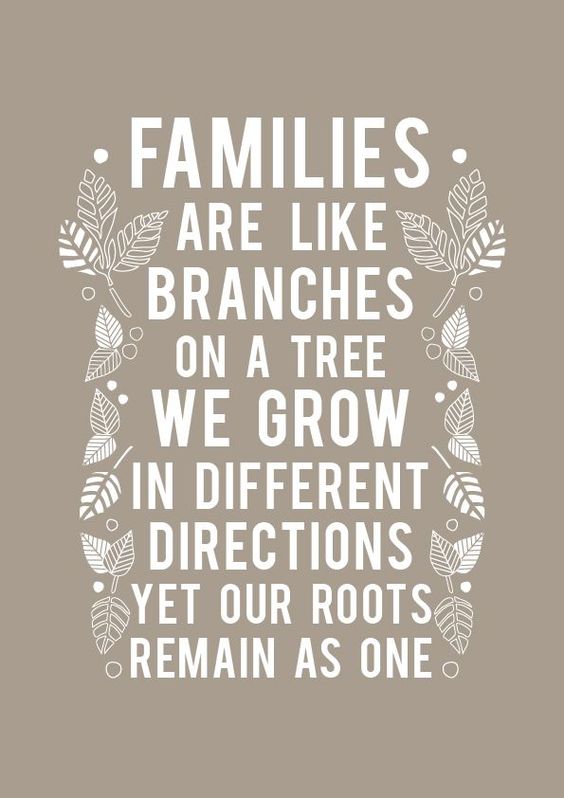 Families are like branches on a tree. We Grow in different directions yet our roots remain as one