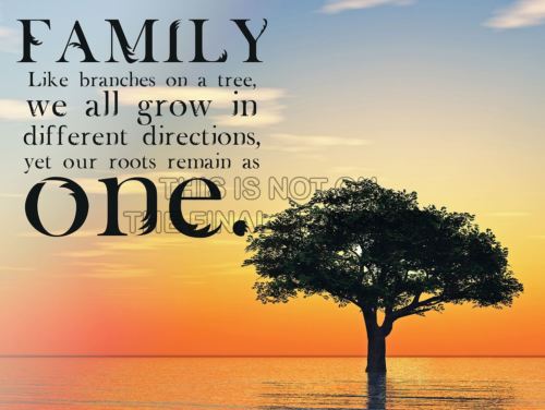 Family, like branches in a tree, we all grow in  different directions, yet our roots remain as one