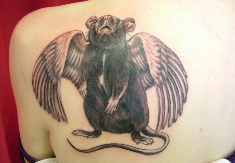 Funny Rodent Angel Tattoo On Upper Back
