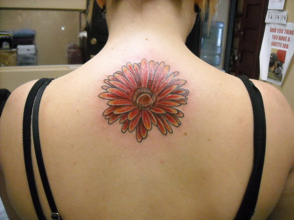 Gerber Daisy Tattoo Design On Upper Back