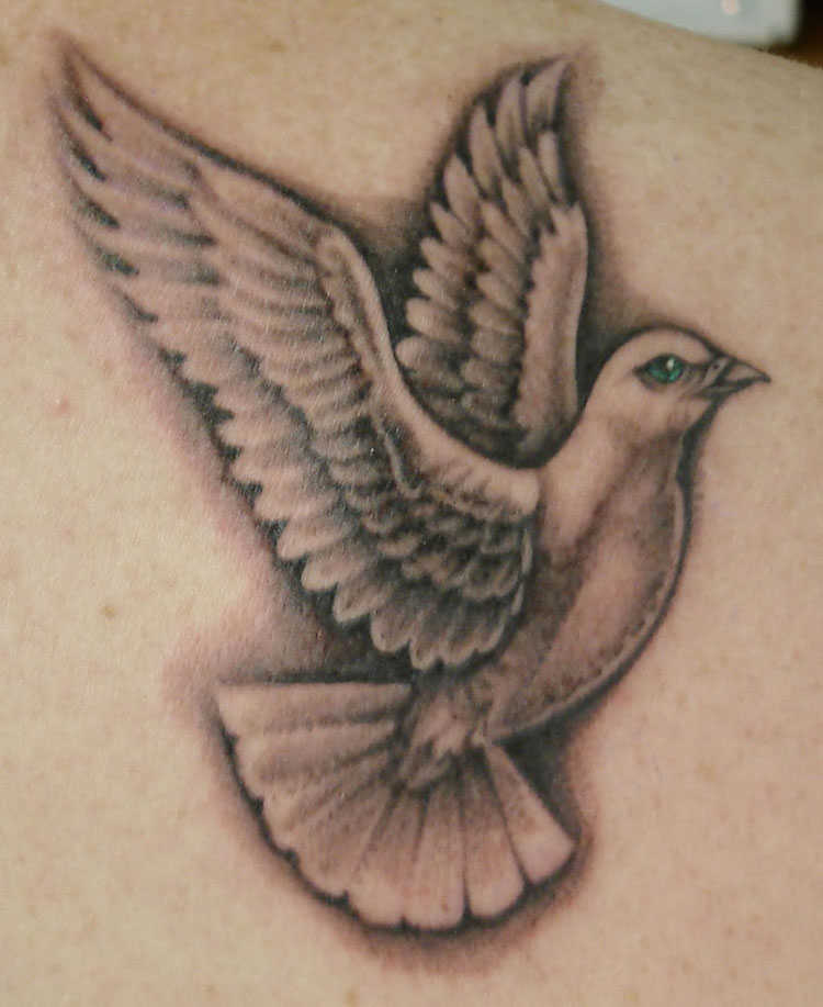 Green Eye Dove Tattoo On Back Shoulder