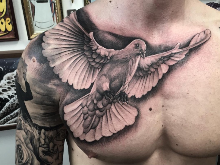 Grey And Black Dove Tattoo On Chest