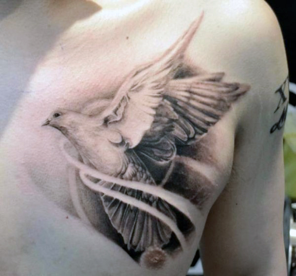 Grey And White Dove Tattoo On Man Chest
