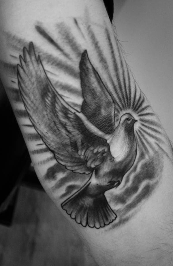 Grey Ink Dove Tattoo On Bicep