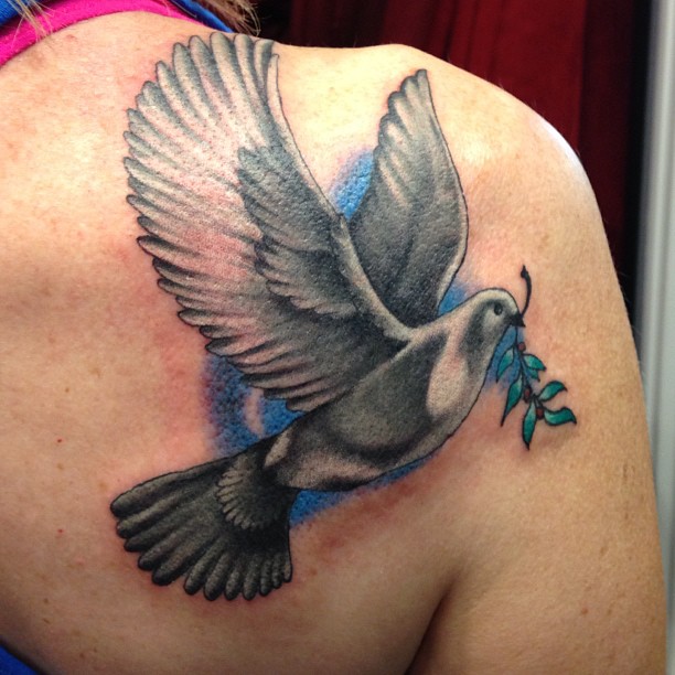 Grey Ink Dove Tattoo On Right Back Shoulder