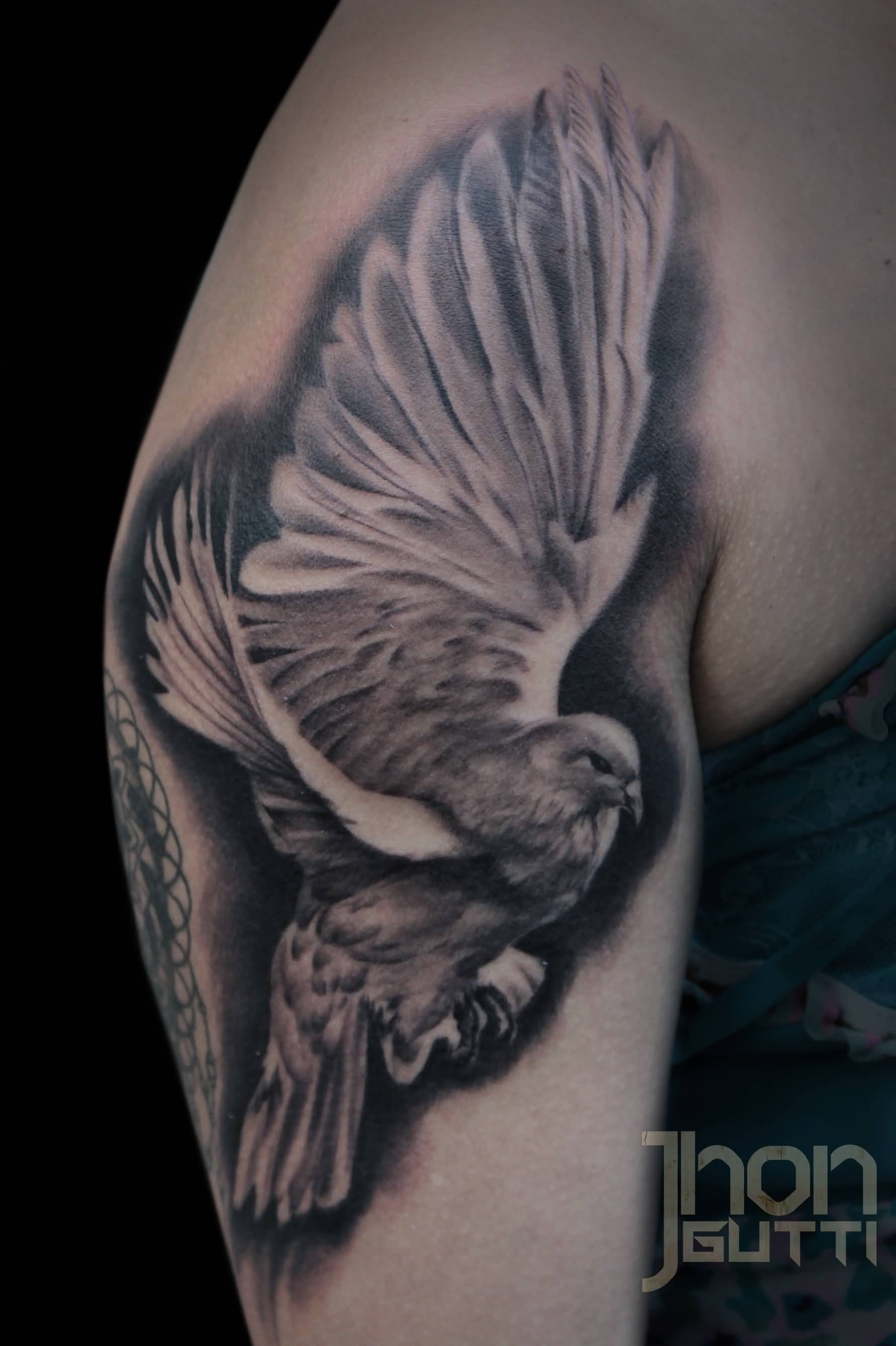 Grey Realistic Dove Tattoo On Right Shoulder
