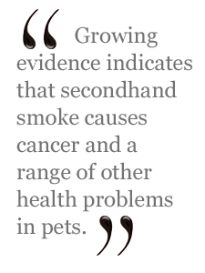 Growing evidence that secondhand smoke is causing cancers and a range of other health problems in pets