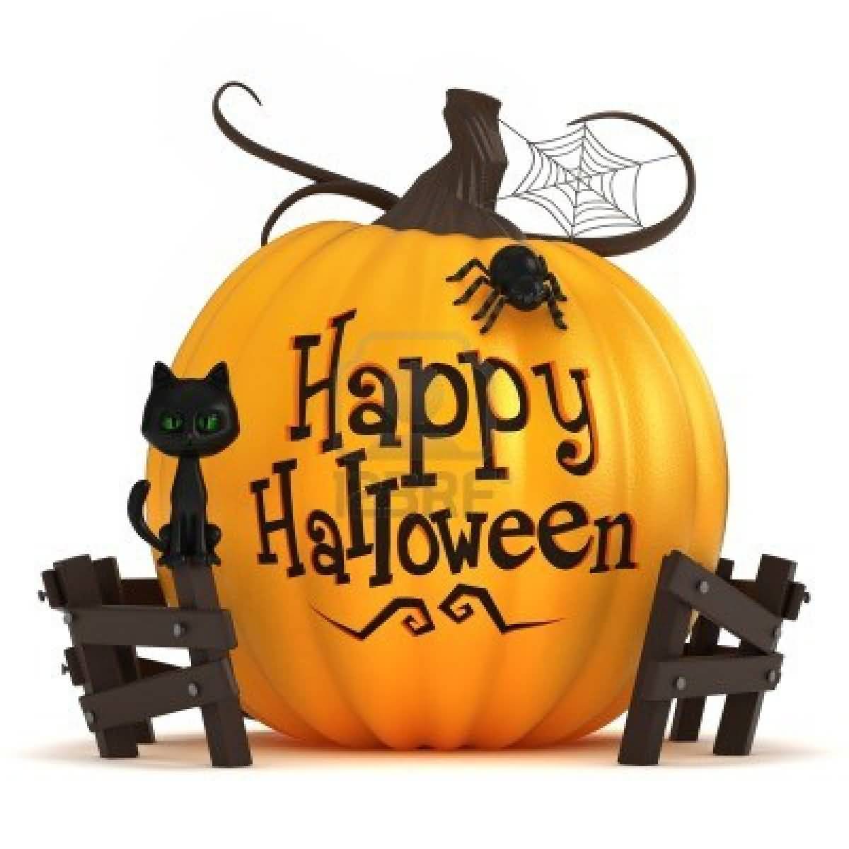 Happy Halloween Cat And Spider Picture
