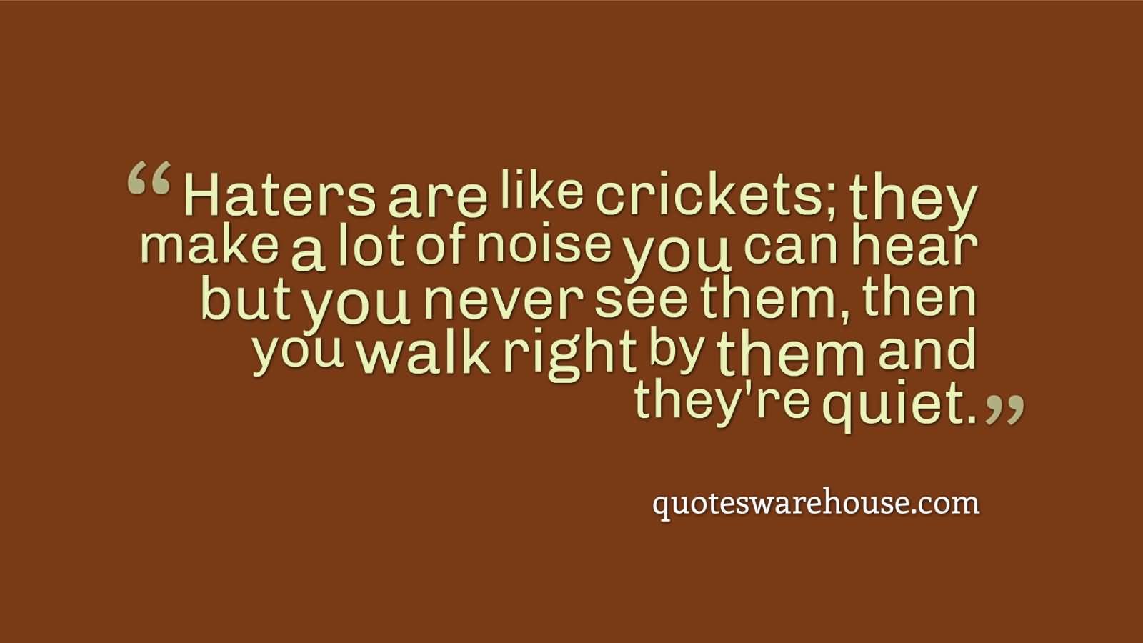 Haters are like crickets. Crickets make a lot of noise, you hear it but you can't see them. Then right when you walk by them, they're quiet.