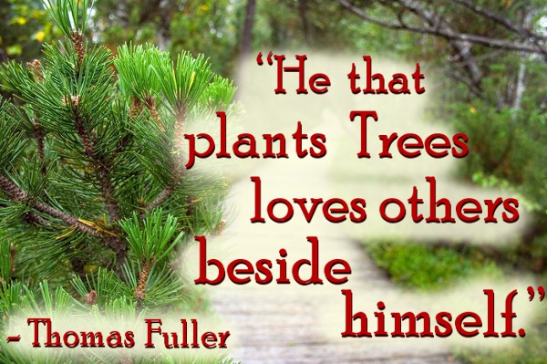 He that plants tress loves others beside himself -  Thomas Fuller