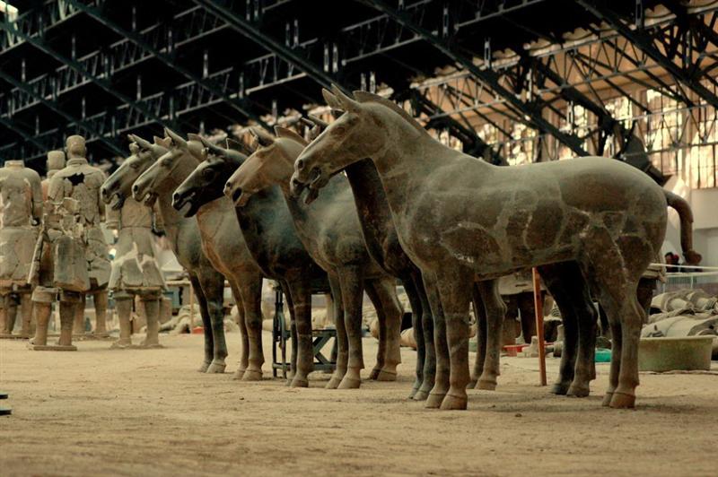 Horses Of Terracotta Warriors