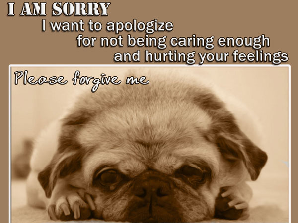 I am sorry. I want to apologize for not being caring enough and hurting your feelings.
