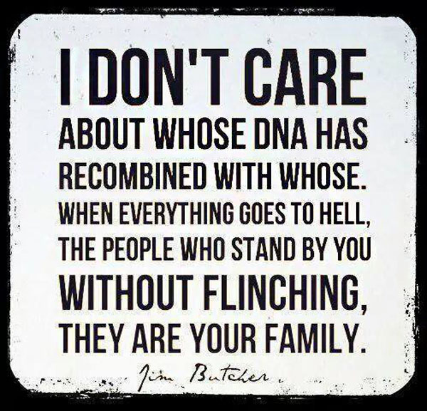 I don't care about whose DNA has recombined with whose. When everything goes to hell, the people who stand by you without flinching,they are your family. Jim Butcher