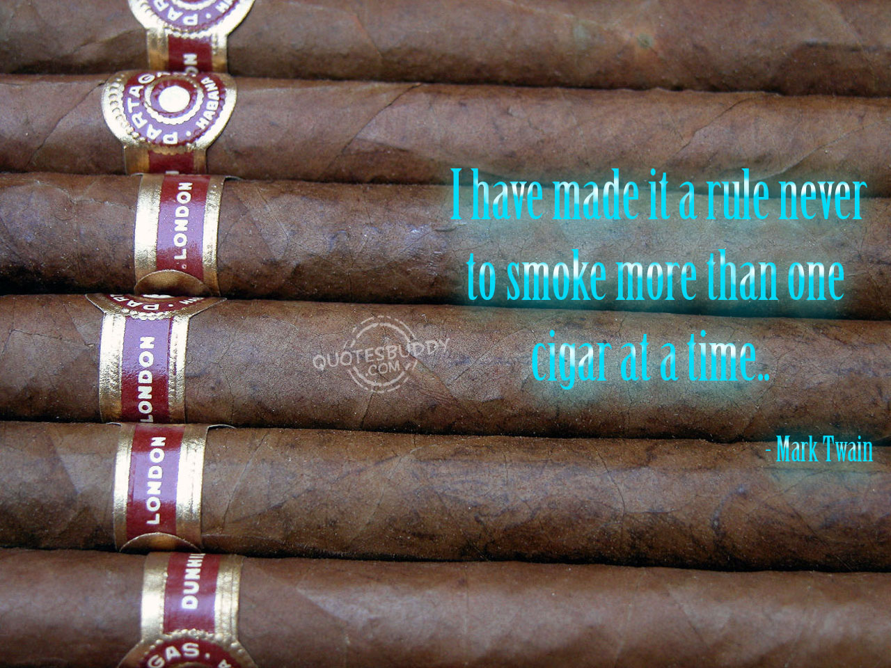 I have made it a rule never to smoke more than one cigar at a time. Mark Twain