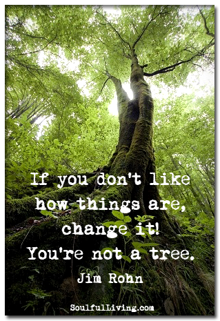 60 Best Tree Quotes & Sayings