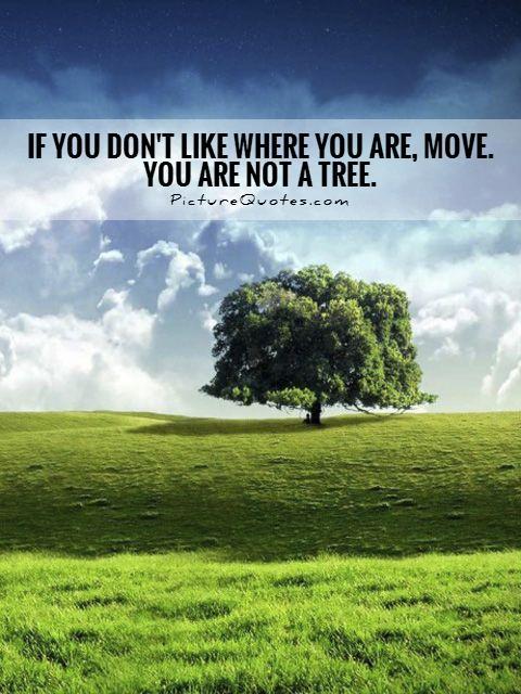 If you don't like where you are, move. You are not a  tree