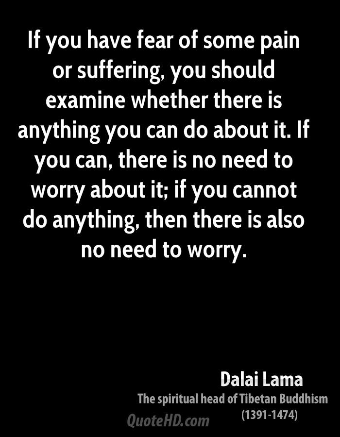 If you have fear of some pain or suffering, you should examine whether there is anything you can do about it. If you can, there is no need to worry about it if you cannot...Dalai Lama