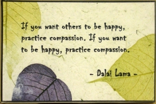 65 Best Compassion Quotes And Sayings