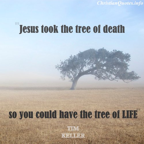 Jesus Took The Tree of Death So You Could Have The Tree  of Life - Tim Keller