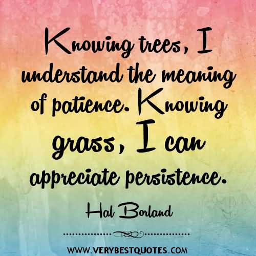 Knowing Trees I Understand The Meaning Of Patience Knowing Grass I Can Appreciate Persistence. Hal Borland