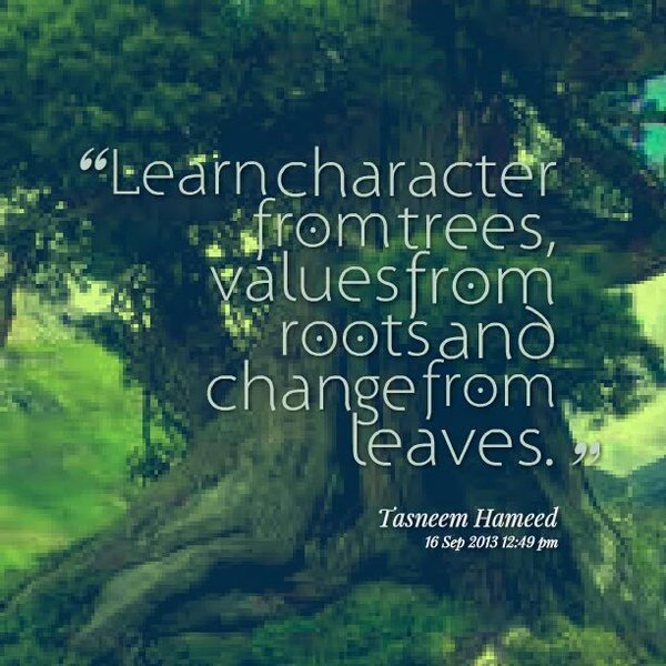 Learn character from trees, values from roots, and  change from leaves - Tasneem Hameed