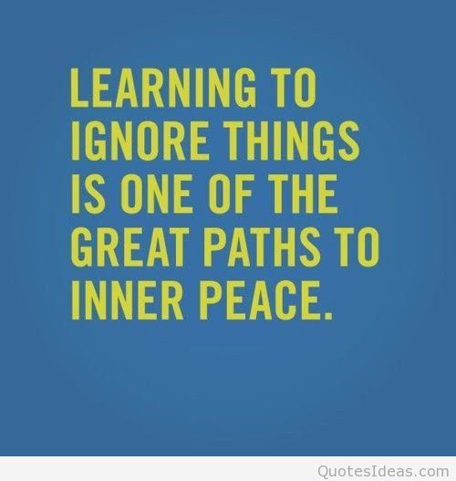 Learning to ignore things is one of the great paths to inner peace