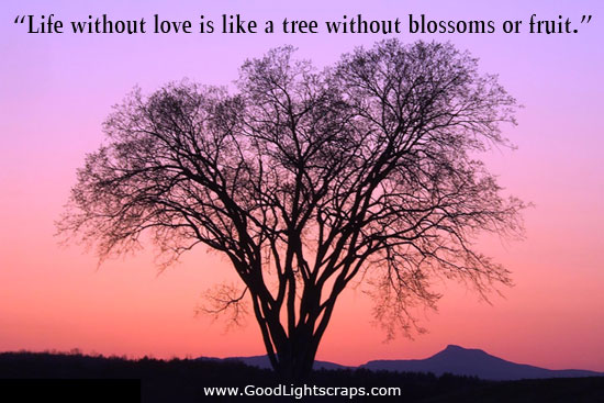 Life without love is like a tree without blossoms or  fruit