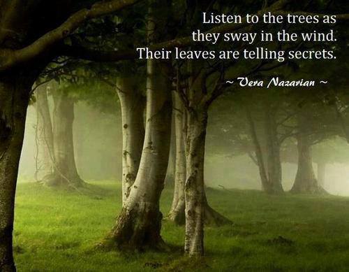Listen to the trees as they sway in the wind.Their  leaves are telling secrets - Vera Nazarian