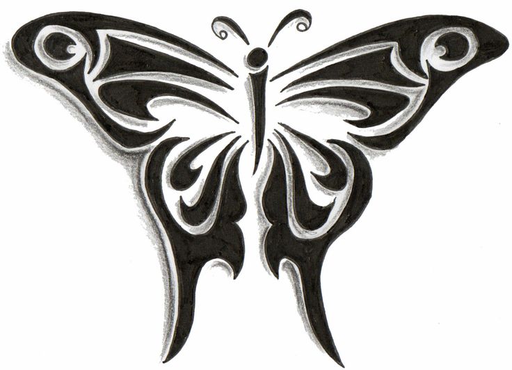 Lovely Tribal Butterfly Tattoo Design