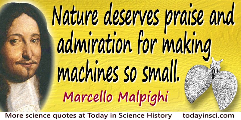Nature deserves praise and admiration for making machines so small - Marcello Malpighi