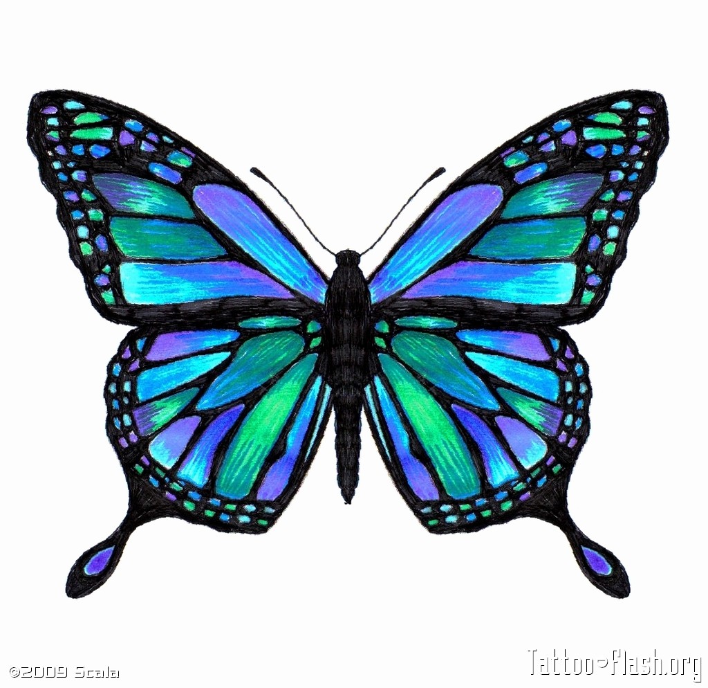 Nice Colored Butterfly Tattoo Design