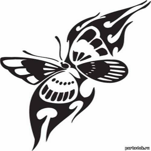 Nice Tribal Butterfly Tattoo Design