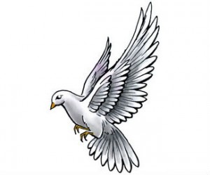 Nice White Dove Tattoo Design