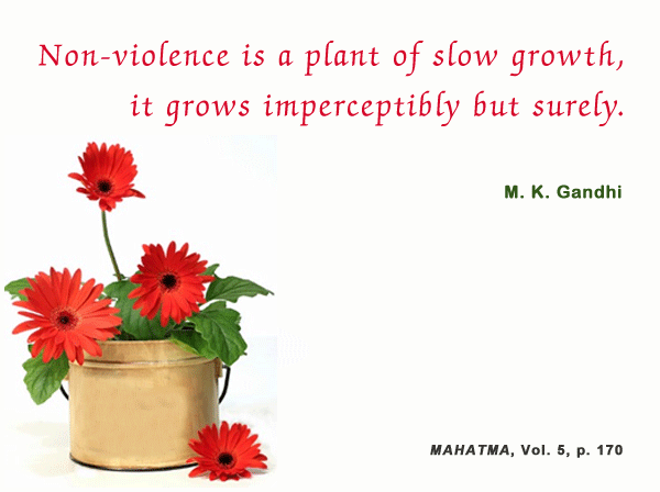 Nonviolence is a plant of slow growth, it grows imperceptibly but surely. Mahatma Gandhi