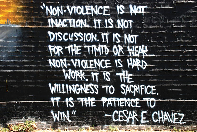 Nonviolence is not inaction. It is not discussion. It is not for the timid or weak. Nonviolence is hard work. It is the willingness to sacrifice. It is the patience to win.  Cesar E. Chavez
