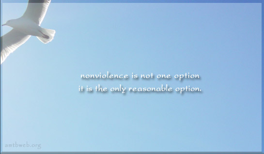Nonviolence is not one option, it is the only reasonable option.