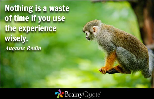 Nothing is a waste of time if you use the experience wisely. Auguste Rodin
