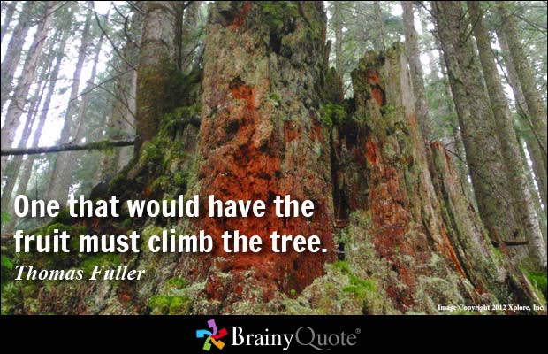 One that would have the fruit must climb the tree -  Thomas Fuller