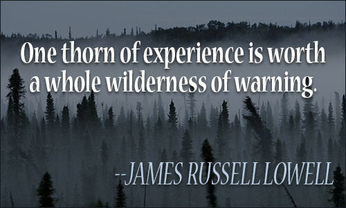 One thorn of experience is worth a whole wilderness of warning. James Russell