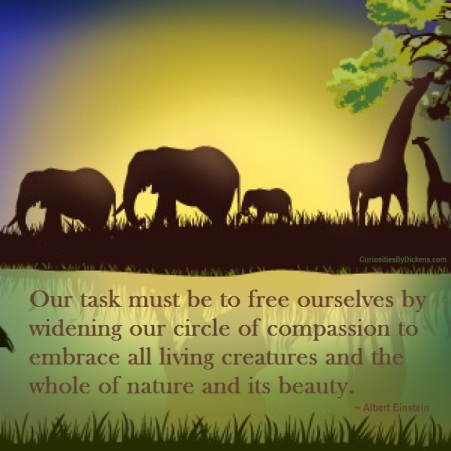 Our task must be to free ourselves by widening our circle of compassion to embrace all living creatures and the whole of nature and its beauty Albert Einstein