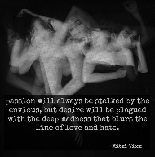 Passion will always be stalked by the envious, but  desire will be plague with the deep madness that blurs the line  of love and hate. Mitzi Vixx