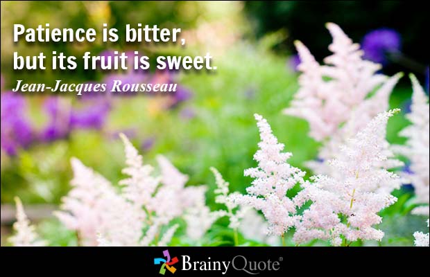 Patience is bitter, but its fruit is sweet. Jean-Jacques Rousseau