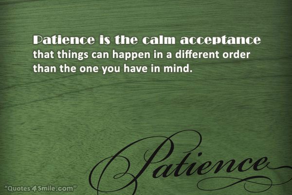 Patience is the calm acceptance that things can happen in a different order than the one you have in mind