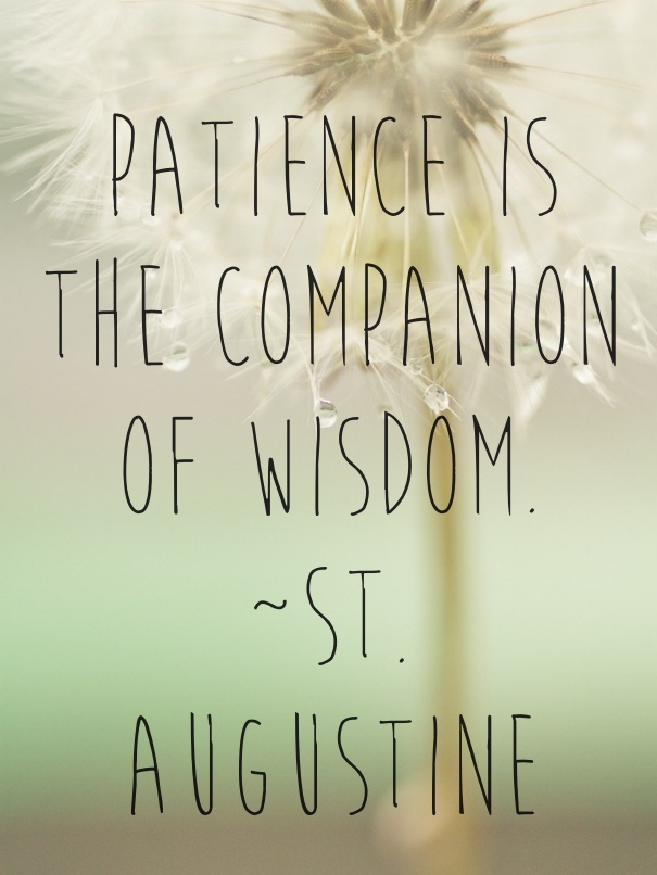 Patience is the companion of wisdom. Saint Augustine