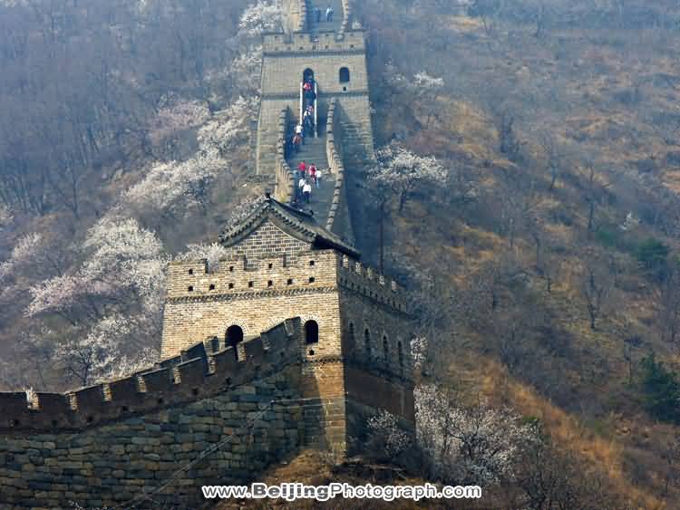 Picture Of The Great Wall Of China