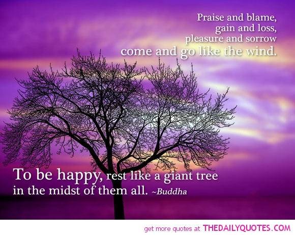 Praise and blame, gain and loss, pleasure and sorrow  come and go like the wind. To be happy, rest like a giant tree  in the midst of them all - Buddha