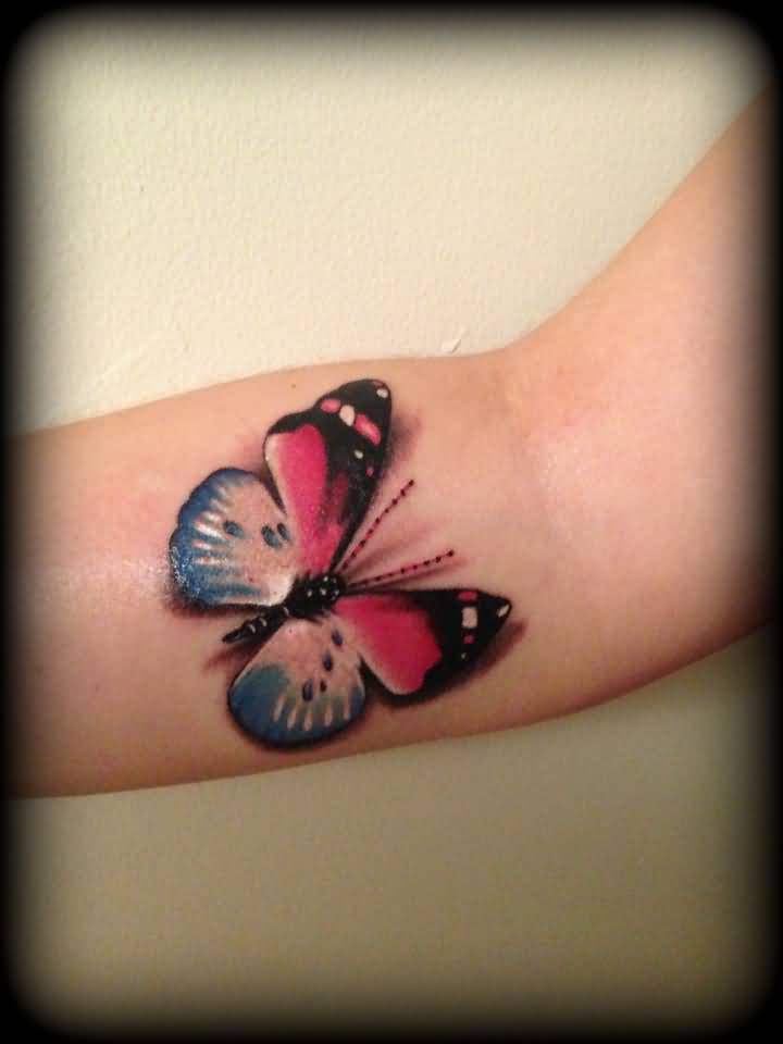 Realistic Color Butterfly Tattoo On Forearm