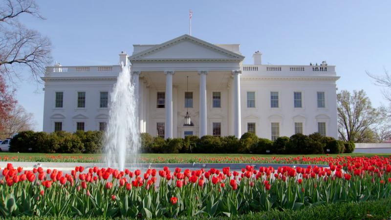 Red Poppy Flowers And Fountain In Front Of White House